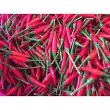 2 biji cili padi (dipotong). Cili Padi Fresh Prices And Promotions Jun 2021 Shopee Malaysia