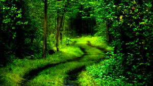 Santa Banta Wallpapers Nature Hd Feel free to download all of these desktop background pictures of nature for free. wallpaper house com