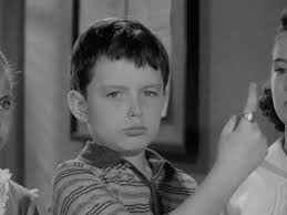 The BEST episodes written by Bob Mosher