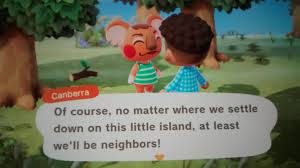 In Animal Crossing My Neighbour Is A Koala Named Canberra Canberra