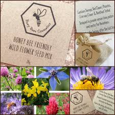 Maybe you would like to learn more about one of these? Honey Bee Friendly Wild Flower Seeds 20g Busy Bees Cosmetics