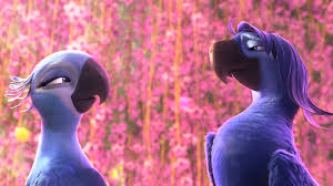 Rio 2 also features new brazilian artists and original music by janelle monae and wondaland. Rio 2 Review More Is Less In Overstuffed Sequel Variety