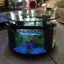 We provide the right information about the 10 gallon fish tank to buy in 2021 each tank are carefully collected for your home or office. Pinterest