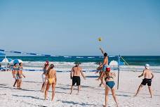 Free Beach Volleyball