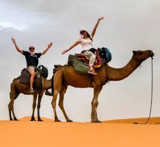 Winds blow sand all around, so a camel has long eyelashes. Camel Trek In The Sahara Desert Go 4 The Globe