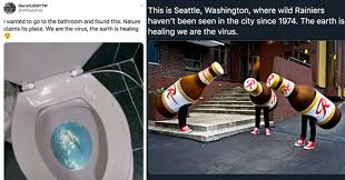 49 Memes that Prove Humans Are the Real Virus - Funny Gallery