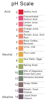 back to basics acids bases the ph scale teaching