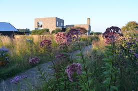 He ranks plants according to visual impact. End Of An Era As Piet Oudolf Closes The Garden At Hummelo Noel Kingsbury
