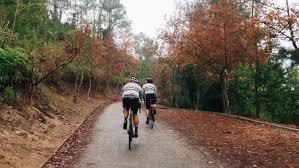 At least one hand must be kept on the handlebars at all times. Clubhouses Website Rapha