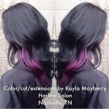 Raven Black And Peekaboo Purple Hair Colors Ideas Hair Color For Black Hair Purple Hair Bright Hair Colors