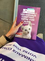 Après avoir présenté des listes autonomes 100 % animalistes aux élections animé par un désir de justice et de progrès, le parti animaliste promeut une évolution de société qui prend en compte les intérêts des animaux et qui. Le Parti Animaliste Espere Creer La Surprise Aux Europeennes