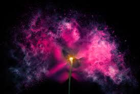 The natural beauty of flower images flower images are a popular visual for all types of projects, from digital design and print materials to product packaging and fashion design. Creative Post Processing Ideas For Flower Photography