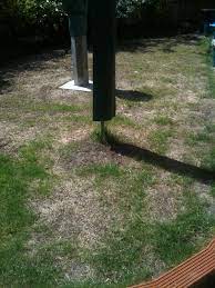 Maybe you would like to learn more about one of these? Scarifying The Lawn Photies Included Page 2 Overclockers Uk Forums