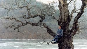 E ancora primavera (film, 2003). Film Rilassanti O Quasi Da Vedere Al Tempo Del Corona Virus Cinema E Psicologia