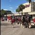 Budweiser Clydesdales return to Jacksonville brewery, tour Center