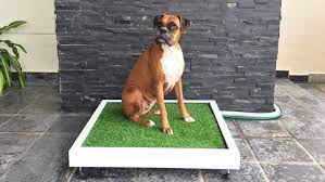 Our china suppliers carry the largest inventory of quality sporting goods, hunting, fishing and camping equipment for sale. Woofloo Dog Toilet Flushes Like A Toilet For Your Dog Simplemost