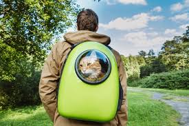 Let's be clear though the best cat carriers need to be comfortable. The Best Cat Backpacks Of 2021 Pet Life Today