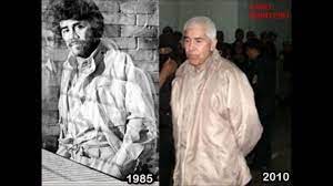 Ayrıca, sonora merkezli yeni kurulan caborca kartelinin kurucusu ve şimdiki şüpheli lideridir. Freed Mexico Free Drug Lord Had Ties To Costa Rica Q Costa Rica