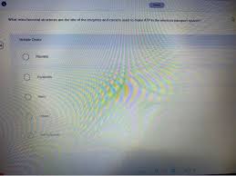 Mitochondria use glucose to make energy.energy is stored in atp. Seved What Mitochondrial Structures Are The Site Of Chegg Com