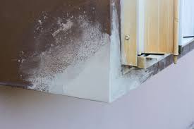 Maybe you would like to learn more about one of these? Spalling Concrete Repair Guidelines With Belzona 4141