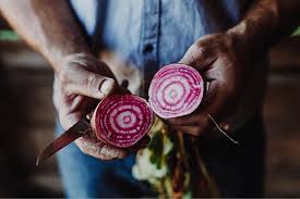 Betterave Chioggia De Fermelandaldea Agriculture Eatlocal Ventedirecte Foodphotography Ferme Paysbasque Legumes P Eat Local Chioggia Food Photography