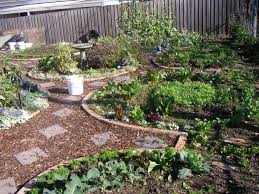 This answer will dictate how much of each vegetable you should grow. Pin By Marjon On Gardening Permaculture Gardening Garden Layout Vegetable Permaculture