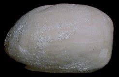 Image result for Micractis