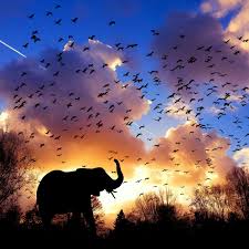 On any african overland journey, witness the magnificence of at least one of the great lakes or enjoy the beauty of the waterfalls and rivers. Such Is The Beauty Of Africa Steemit