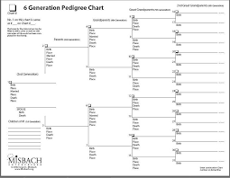Genealogy 6 Generation Pedigree Chart Helps When Youre