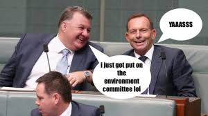 Share craig kelly quotations about mountain. Craig Kelly Is A Dangerous Embarrassment The Australian Independent Media Network