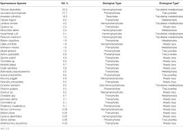 Image result for Crepidorhopalon tenuis