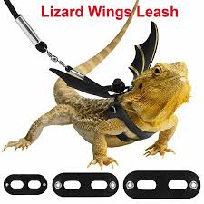How to make a clay air plant holder. Adjustable Lizard Leash With Wings Pet Reptile Gecko Bearded Dragon Harness Strap Walmart Canada
