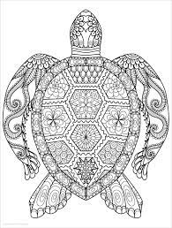 Customize the letters by coloring with markers or pencils. Animal Mandala Coloring Page Turtle Coloringbay