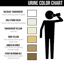 Urine Color And What It Means For You Ehealthiq
