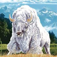 Members (2):john perez (partner) carlos cantu (partner). White Buffalo Tattoo Pinned By Rosemary Christiansen Buffalo Pictures Animals Buffalo Art