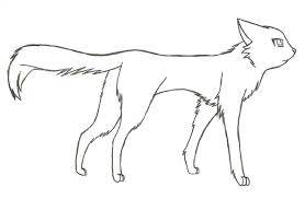 Cats in warrior cats can in fact have blue eyes without any white on them. Theshooterkn15 On Scratch