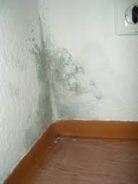 Entsteht in diesem raum trotzdem schimmel, ist der auslöser für das schimmelwachstum immer feuchtigkeit. Unterschiede Von Schimmel Erkennen Wohnung Wohnen Wohnungsmangel