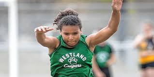 Westland Roundup: Coaches not happy with baseball team