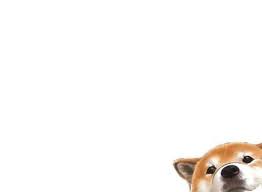 Dogs wallpapers and backgrounds await! 24 Ideas Dogs Wallpaper Laptop Corgi Wallpaper Corgi Wallpaper Iphone Dog Wallpaper