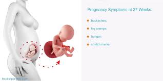 27 Weeks Pregnant Symptoms Fetus Ultrasound Belly Photos
