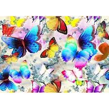 20,000+ butterfly images & pictures. Butterfly Print Viscose Fabric à¤® à¤¦ à¤° à¤¤ à¤µ à¤¸ à¤ à¤¸ à¤ à¤à¤ªà¤¡ Shradha Creations Surat Id 16764474697