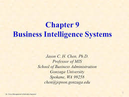 Chapter 9 Business Intelligence Systems Ppt Download