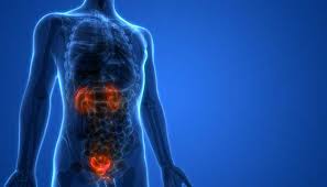 Maybe you would like to learn more about one of these? Kidney Ureter And Bladder X Ray Johns Hopkins Medicine