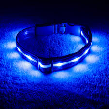 Blazin Safety Rechargeable Light Up Dog Collars Small Blue Walmart Com Walmart Com
