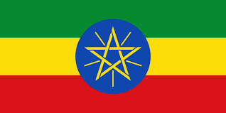 Providing the information is voluntary, but if not provided, we will be unable to provide this service to you. Turkish Visa Information For Ethiopia Citizens I Was In Turkey