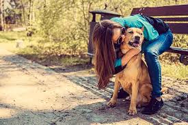 We did not find results for: Petbarn S Adoption Partners Petbarn