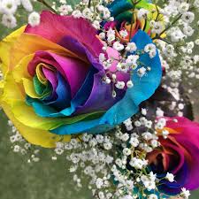The online flower delivery experts. Hawaii Mom Blog Rainbow Roses From Flo S Min Florist