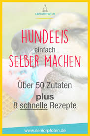 Hundeeis Selber Machen 8 Schnelle Rezepte Uber 50 Zutaten Diy Eis Fur Hunde Hunde Kekse Rezept Kochen Fur Hunde