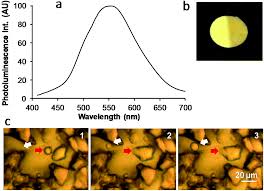 Having a carbon monoxide (co) detector in your home can help protect you from carbon monoxide poisoning, but only if it works properly. Efficient Photorelease Of Carbon Monoxide From A Luminescent Tricarbonyl Rhenium I Complex Incorporating Pyridyl 1 2 4 Triazole And Phosphine Ligan Dalton Transactions Rsc Publishing Doi 10 1039 D0dt03577g