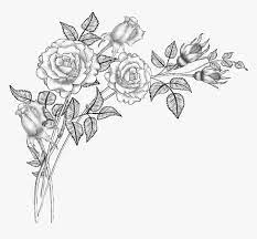 Floral hand draw background design resources · high quality aesthetic backgrounds and wallpapers, vector illustrations, photos, pngs, mockups, templates and art. Clip Art Collection Of Free Drawing Flowers Drawing Png Transparent Png Transparent Png Image Pngitem